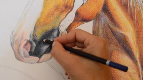 Horse drawing Stock Footage 134243919