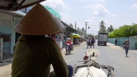 Horse drawn buggy 스톡 동영상 81413912