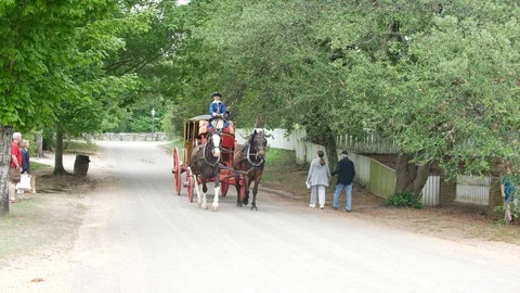 Horse drawn carriage cantering down an avenue 스톡 동영상 90074167