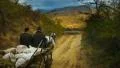 horse-drawn carriage HD Footage