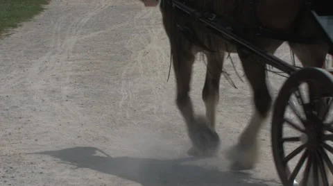 Horse Drawn Carriage Stock Footage 31867802