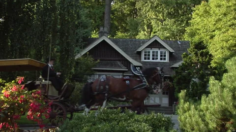 Horse drawn carriage Video stock 44120910