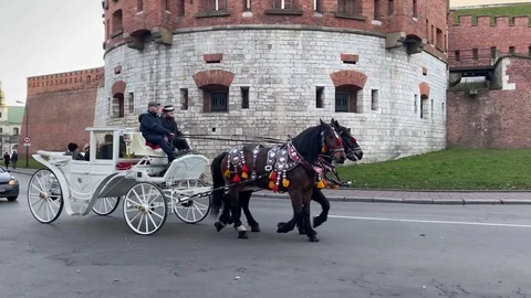 Horse-drawn carriage of Krakow Stock Footage