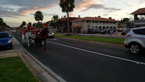 Horse Drawn Carriage Slow Motion Stock Footage