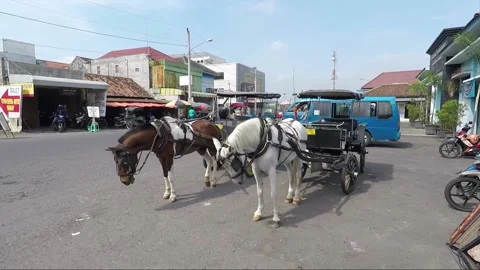 Horse-drawn carriage, Yogyakarta, Java, Indonesia Stock Footage 150434195