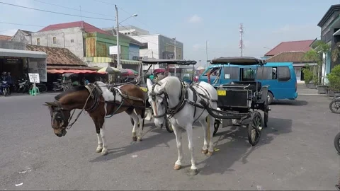 Horse-drawn carriage, Yogyakarta, Java, Indonesia Stock Footage 150445383