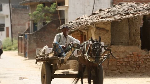 Horse-drawn cart and farmer on rural village road in Uttar Pradesh, IndiaStock Footage