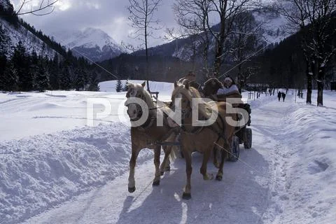 Horse-Drawn Coach In Snow Covered Mountain Landscape; Near Oberstdorf, Allgä