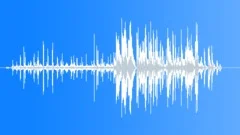 Horse Driven Into BoxSound Effect