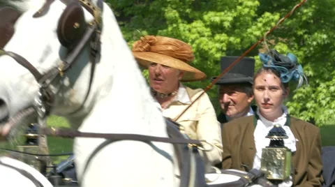 Horse driving trials. Stock Footage 50024708
