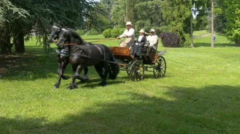 Horse driving trials. Stock Footage 50025525
