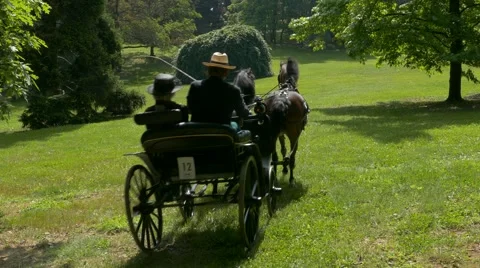 Horse driving trials. Stock Footage 50026035