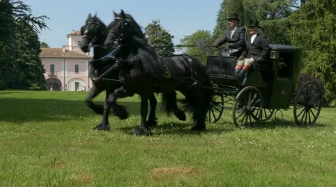 Horse driving trials. 動画素材 50033343