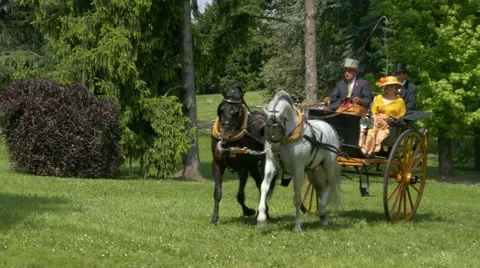 Horse driving trials. Stock Footage 50033434