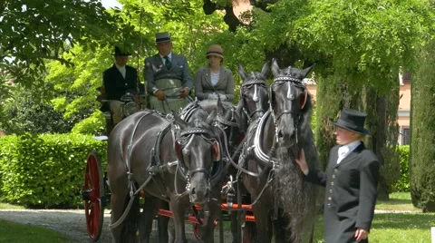Horse driving trials. Stock Footage 50042779