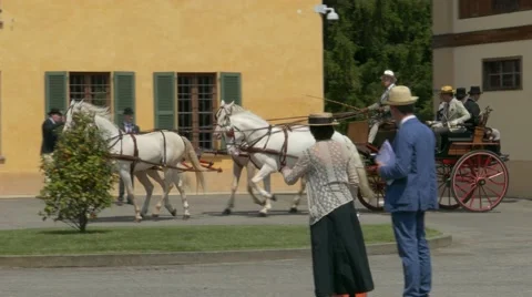 Horse driving trials. Stock Footage 50042932