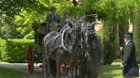 Horse driving trials. Stock Footage 50044769