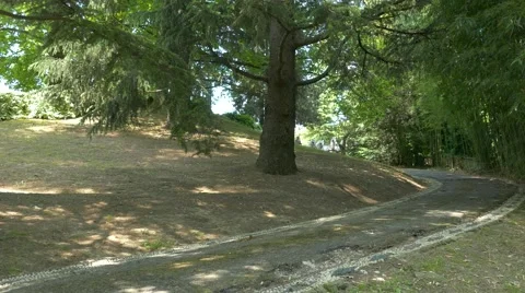 Horse driving trials. Video stock 50044942