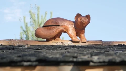 The Horse Eats the Grass. Field. Slow motion Stock Footage 101435034