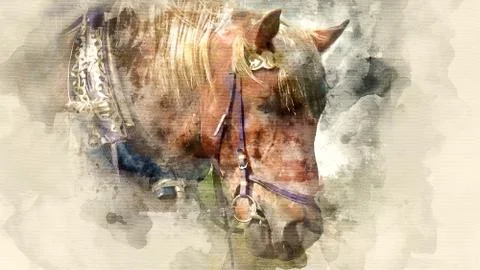 Horse eats hay Stock Illustration