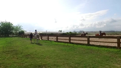 HORSE FARM 스톡 동영상 84882481