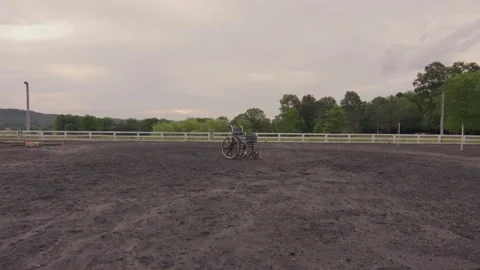 Horse Farm Stock Footage 241604953