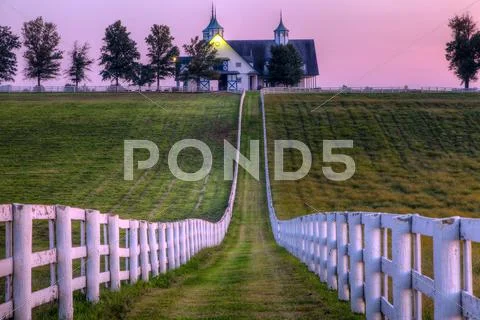Horse farm Stock Photos