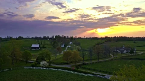 Horse Farm Sunset Video stock 155772305