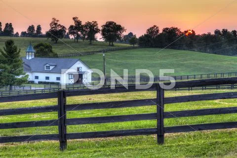 Horse farm sunset Stock Photos