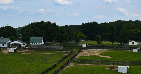 Horse Farm/Ranch Time Lapse Video stock 113067853