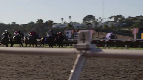 Horse finish Stock Footage 49560338