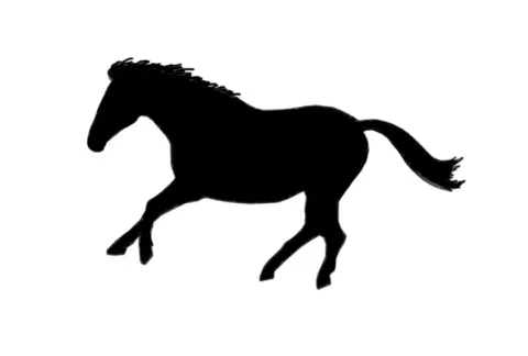 Horse Stock Footage 622440