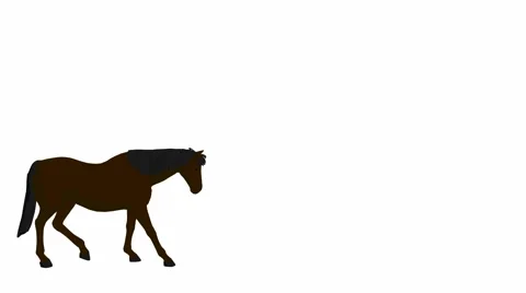 Horse Video stock 979616
