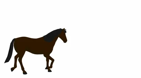 Horse Video stock 979619