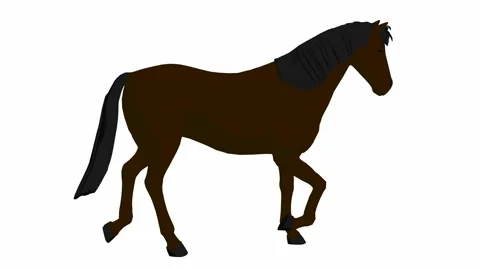 Horse Video stock 979620