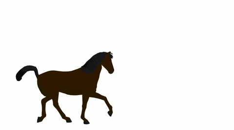 Horse Video stock 979624