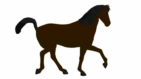 Horse Video stock 979625