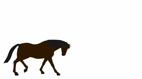 Horse Video stock 979629