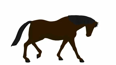 Horse Video stock 979630