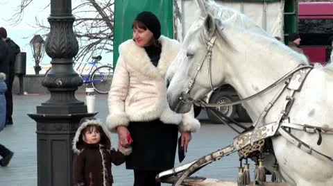 Horse Stock Footage 10587445