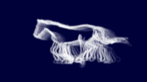 HORSE Stock Footage 22825943