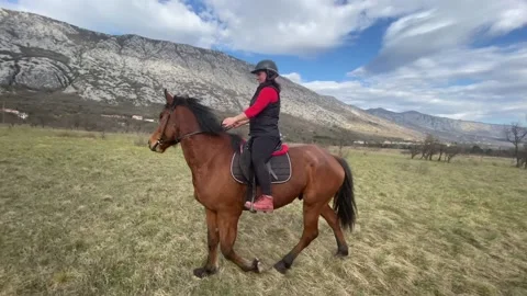 Horse Video stock 151887013