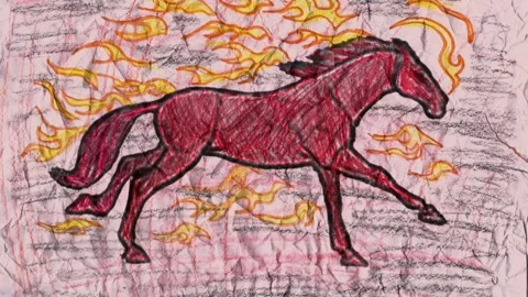 Horse Stock Footage 320156375