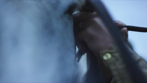 Horse  four Stock Footage 119772795