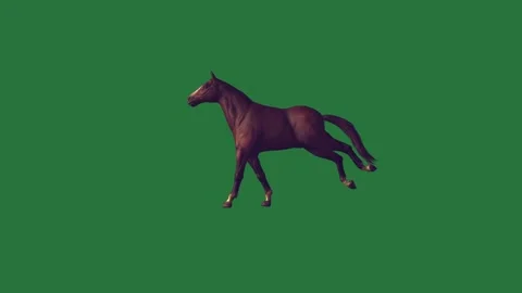 A horse is galloing 動画素材 336969522