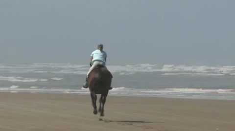 Horse galloping on 90 mile beach Stock Footage 20603029