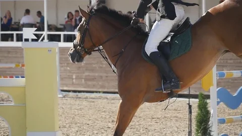 Horse is galloping and jumping through a barrier in competition. Slow motion Stock Footage 72736950