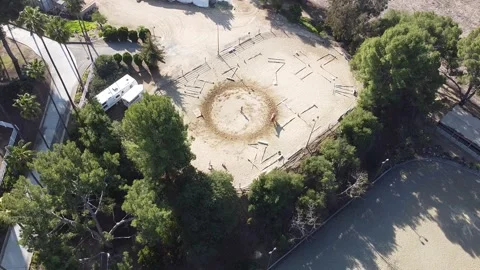 Horse Galloping In Cirlce 库存影片 152737833