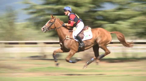 Horse galloping Stock Footage 5162711