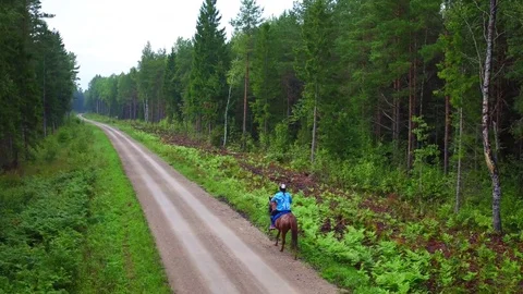 The horse gallops Video stock 83692761